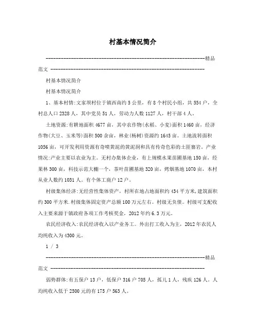 村基本情况简介