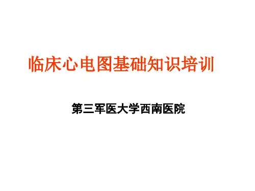 心电图知识培训