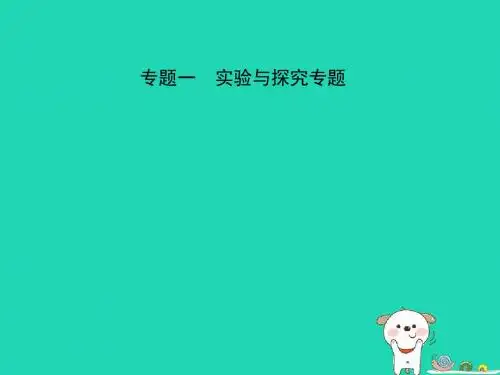 (淄博专版)2019届中考物理-专题复习一课件