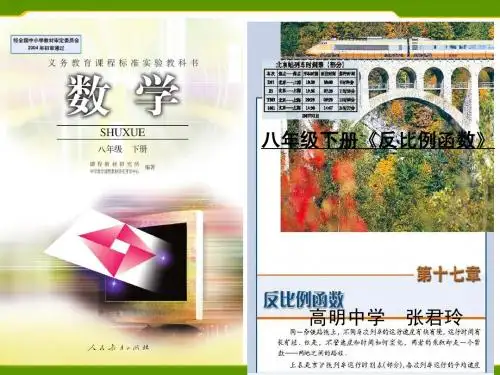 张君玲 反比例函数知识树(3)