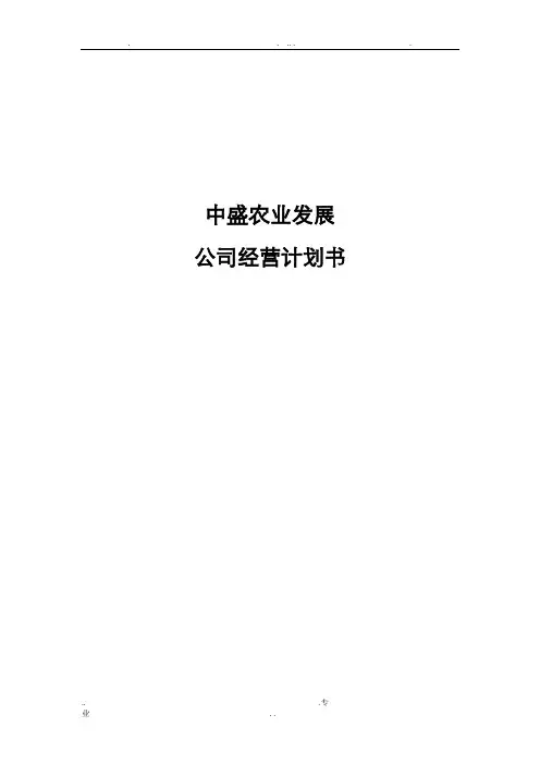 公司运营计划书模板