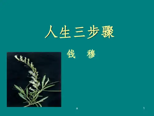 人生三步骤