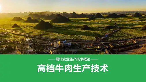 养牛技术—高档牛肉生产技术