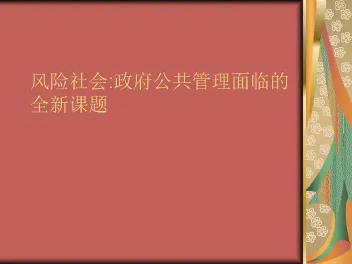 风险社会
