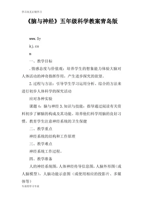 《脑与神经》五年级科学上课学习上课学习教案青岛版