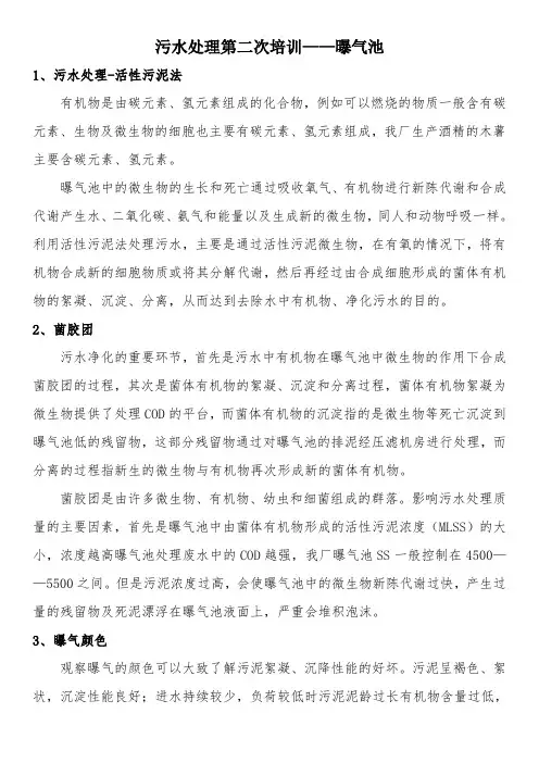 污水处理第培训-曝气