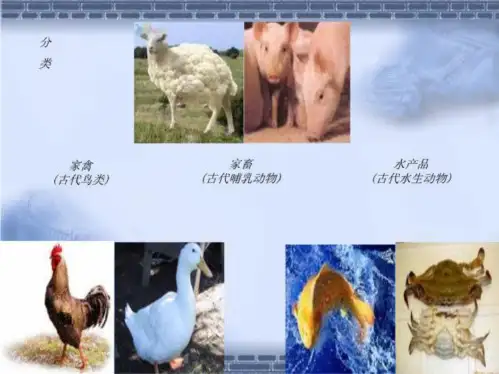 初级中学一年级生物家禽(最新)