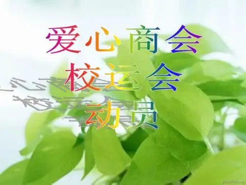爱心商会校运会