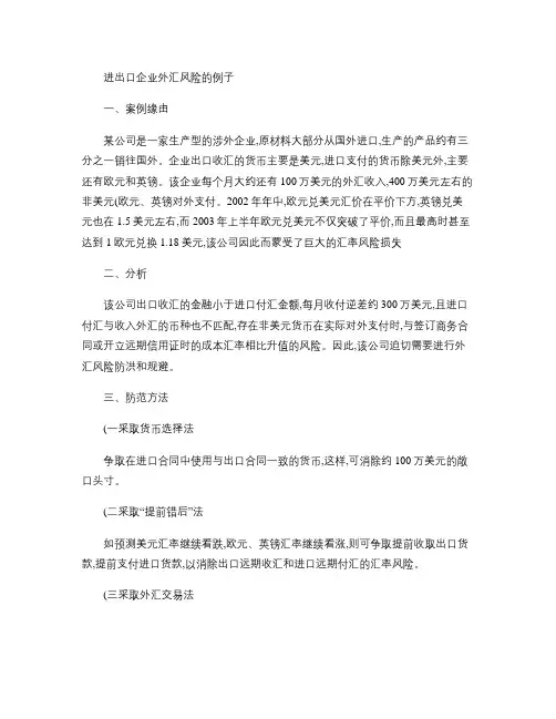 进出口企业外汇风险的例子概要