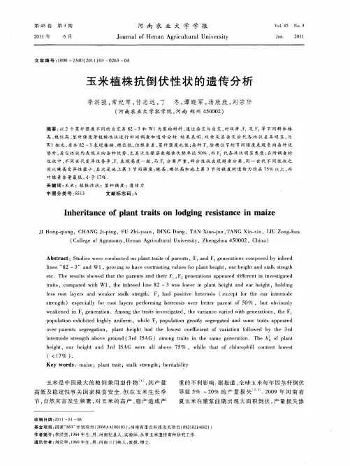 玉米植株抗倒伏性状的遗传分析