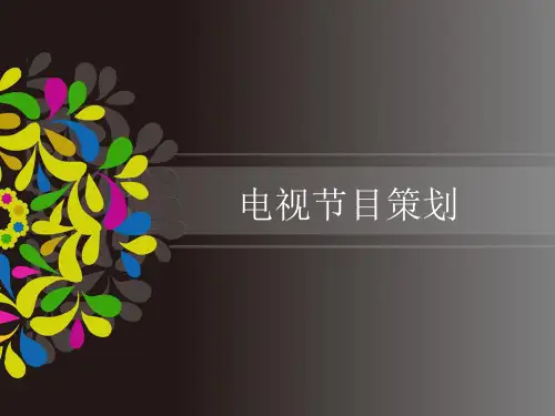 电视节目策划ppt3