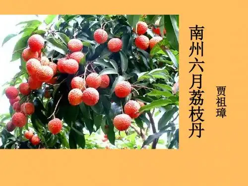 南