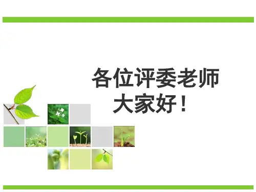 心态决定成功PPT课件