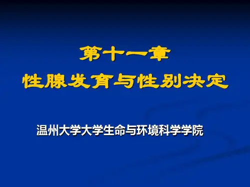 11 第十一章 性腺发育与性别决定