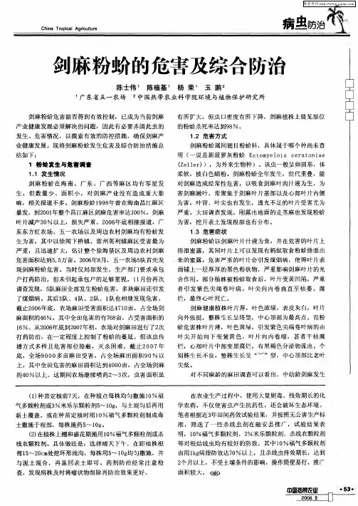 剑麻粉蚧的危害及综合防治