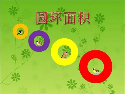 2014最新人教版圆环的面积