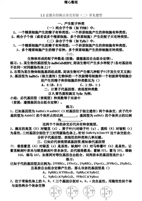 1.2 孟德尔的豌豆杂交实验(二)常见题型