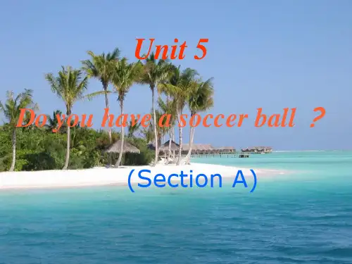 人教版七年级上册unit5+sectionA课件(2)