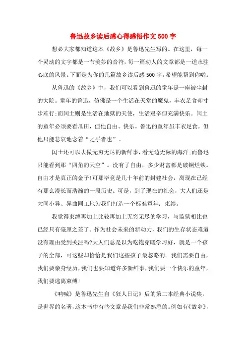 鲁迅故乡读后感心得感悟作文500字