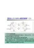 PTN技术详解(中)