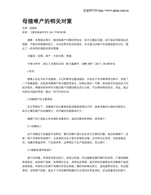 母猪难产的相关对策