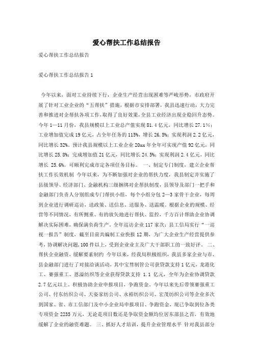 爱心帮扶工作总结报告