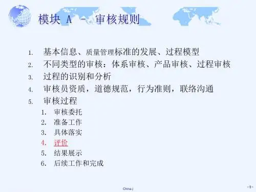 过程审核培训资料