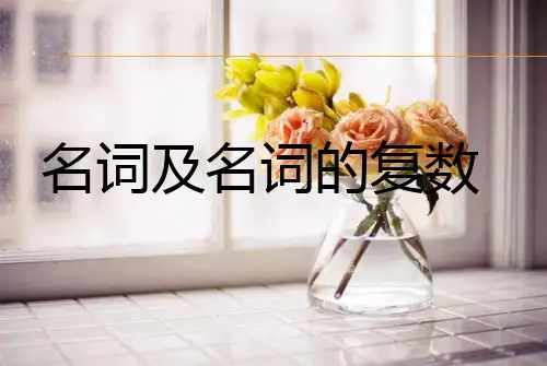 小升初英语名词讲解及题型