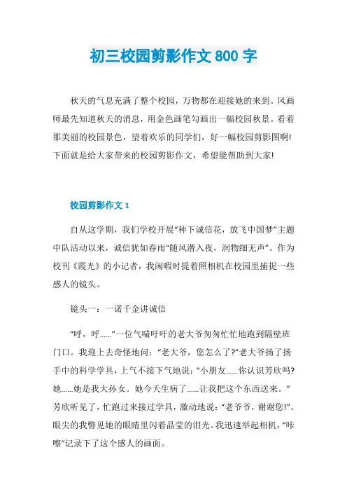 初三校园剪影作文800字