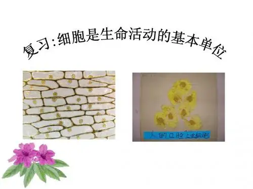 第二单元—第一章