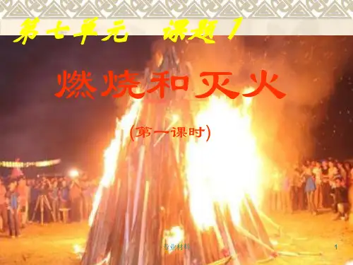 燃烧和灭火(教学课堂)