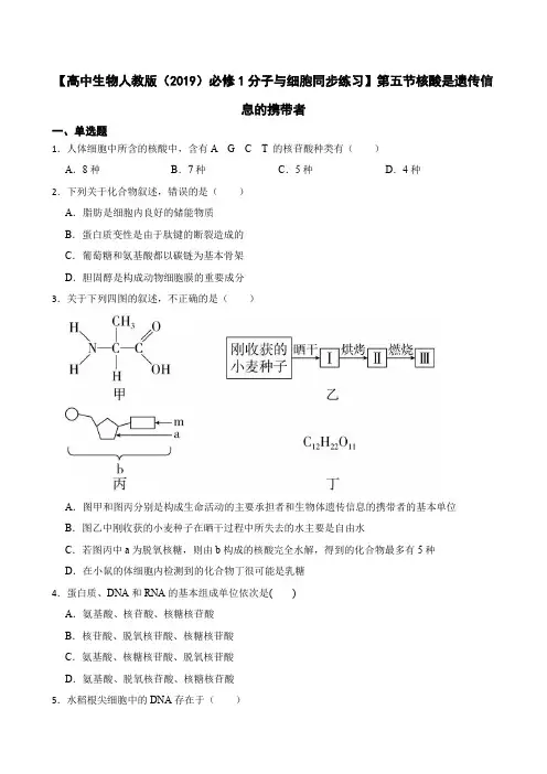 【高中生物人教版(2019)必修1同步练习】2.5 核酸是遗传信息的携带者(含答案)