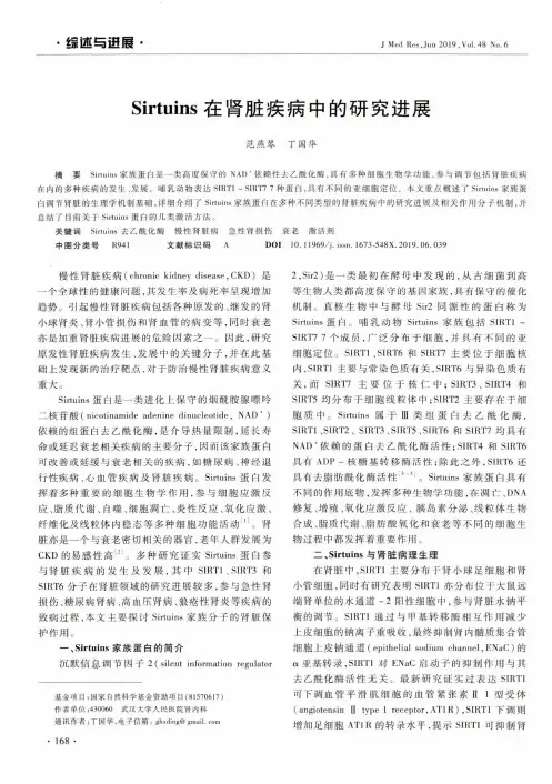 Sirtuins在肾脏疾病中的研究进展