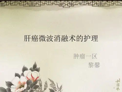 肝癌微波消融护理PPT课件
