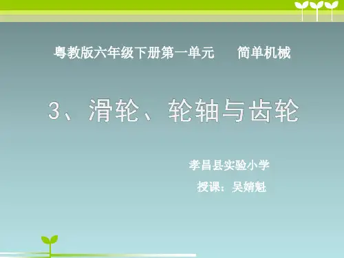 3 滑轮、轮轴与齿轮