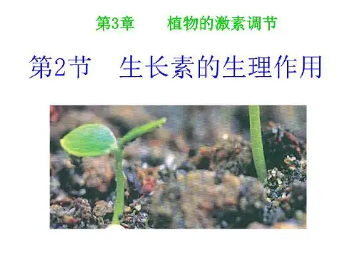 生长激素生理作用