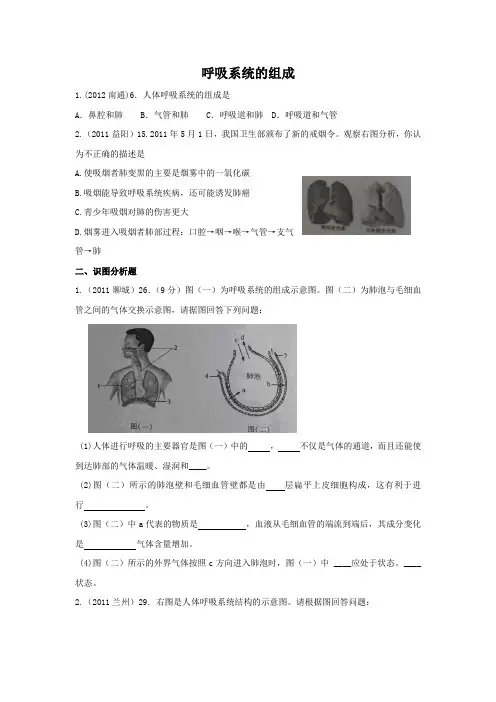 呼吸系统的组成 2