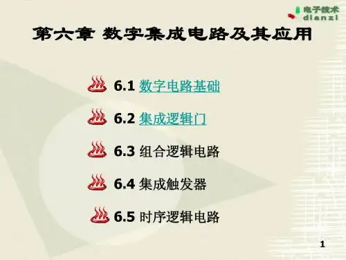第6章 数字集成电路及其应用 (2)