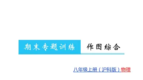 期末专题训练 作图综合沪科版八级物理(上册)教用习题精品课件