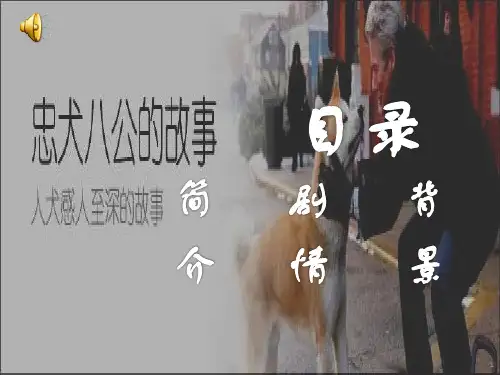 关于介绍忠犬八公的课前演讲ppt课件