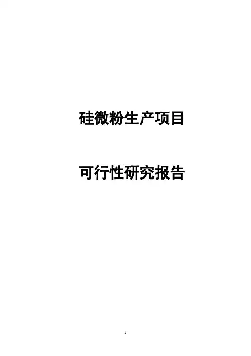 硅微粉生产项目可行性研究报告