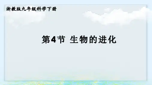 浙教版九年级科学下册第4节 生物的进化(教学课件)