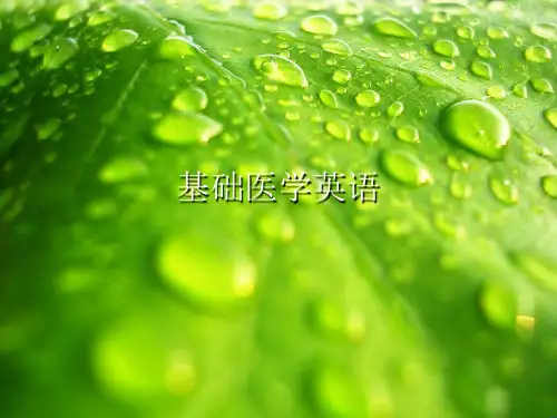 基础医学英语