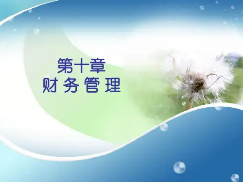 第十章ERP财务管理