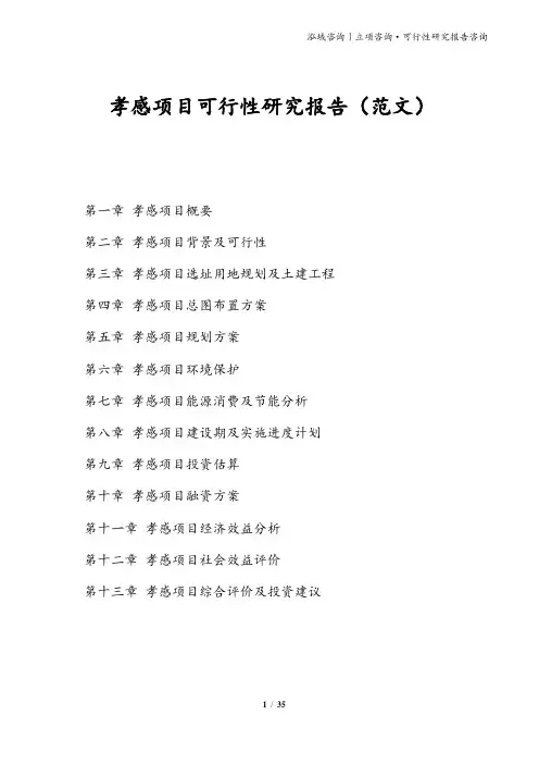 孝感项目可行性研究报告(范文)