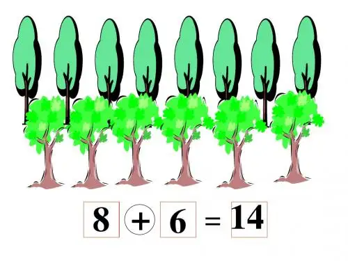 一年级数学有几棵树