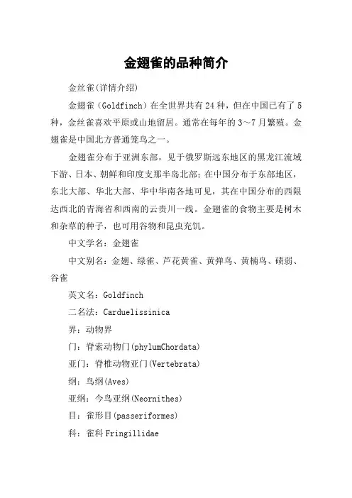 金翅雀的品种简介