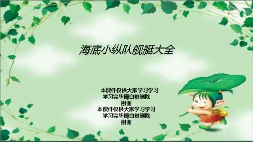 海底小纵队舰艇大全