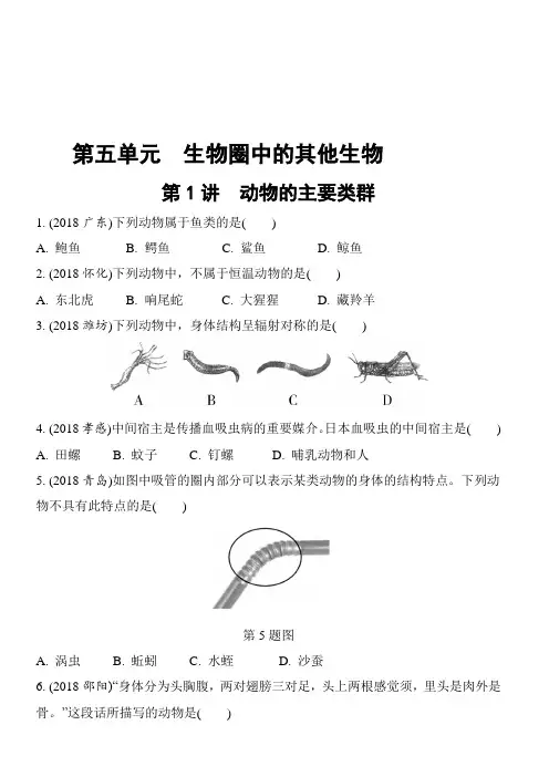 2019中考生物教材知识梳理习题第5单元生物圈中的其他生物第1讲动物的主要类群(含答案解析)