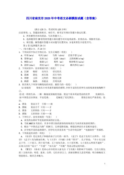 四川省南充市2020年中考语文必刷模拟试题(含答案)